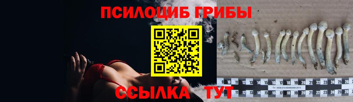 наркотики  Вход с VPN  Лысьва  Галлюциногенные грибы GOLDEN TEACHER 